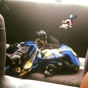 Meet your Posher, Brittany